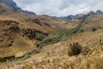 Fototapeta na wymiar Landscape of National Park Cajas, Ecuador