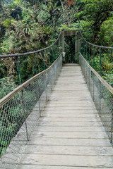 Suspension bridge leading to the viewpoint on Pailon del Diablo (Devil's Cauldron) waterfall near Banos town, Ecuador