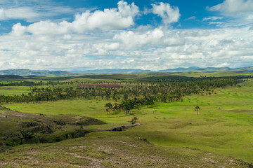 Naklejka premium Landscape of Gran Sabana region in National Park Canaima, Venezuela.