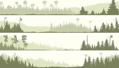 Vector banners of misty coniferous forest with glades © vertyr