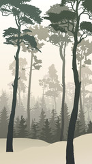 Fototapeta premium Vertical illustration of winter forest with tall pines.