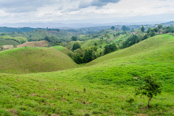Fototapeta na wymiar View over the coffee growing region of Colombia