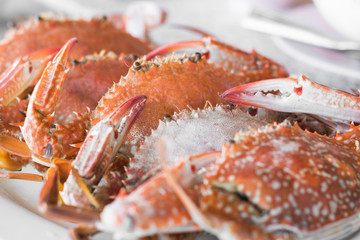 Steamed crab in plate