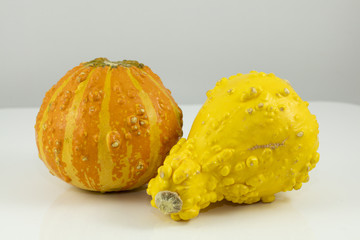 Yellow and Orange Gourds
