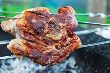 Two pieces of meat roasted on a grill.