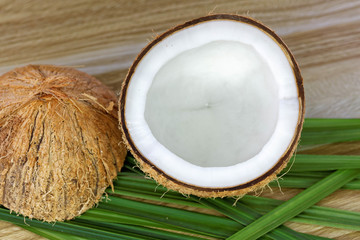 close up of a coconut 