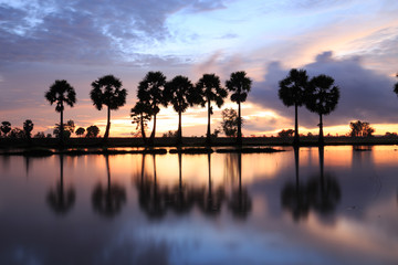 Fototapeta na wymiar Colorful sunrise landscape with silhouettes of palm trees on Cha