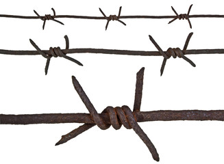 Rusty barbed wire on white background