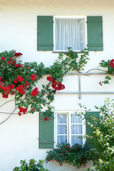 Bavarian house decorated with climbing red roses