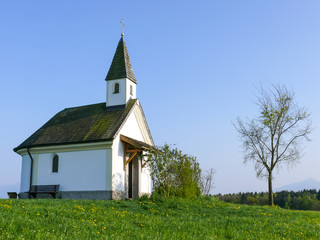 Fototapeta na wymiar Small stone chapel in a Springtime meadow field IV