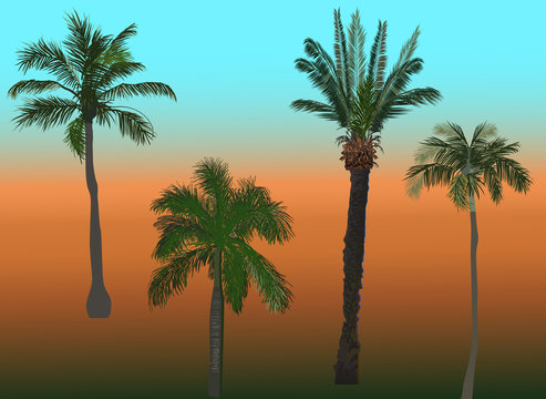 four green palm trees illustration