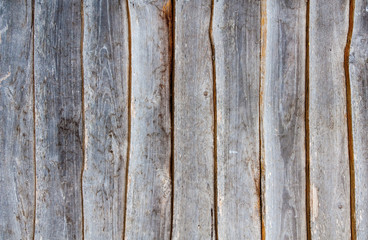 Horizontal image of old wooden door