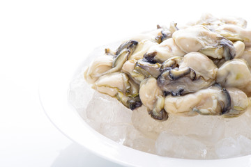 oysters