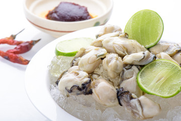 oysters