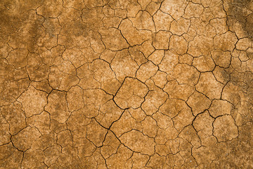 Dry cracked earth