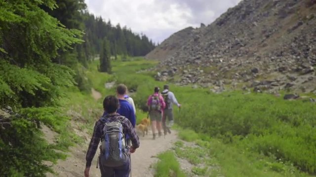 Five friends hike down a path together 