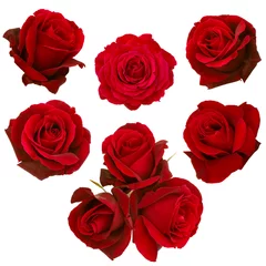 Fotobehang Rozen collage van rode rozen
