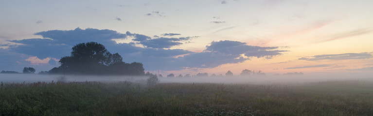 Piękny mglisty poranek nałące