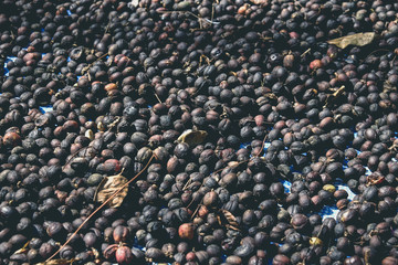 dried berries coffee with filter effect retro vintage style