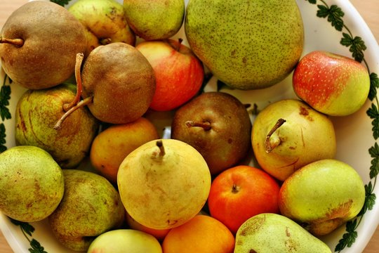 Antiche cultivar di mele e pere