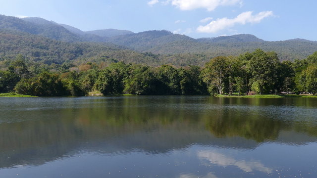 mountain and pond in the park