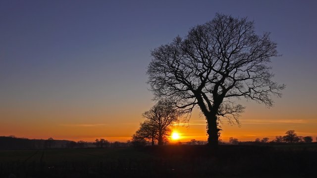 sunset to twilight with oak trees timelapse