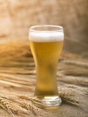 glass of cooling beer with wheat on sack
