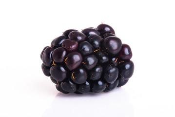 blackberry isolated on a white background