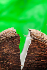 Hardly chopped coconut: coconut halves on green background
