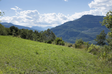 Fototapeta premium Alpine