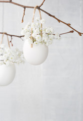 Bunch of white baby's breath flowers (gypsophila) in eggs shell on the white wooden plank. Shallow depth of field, focus on near flowers. Easter decor