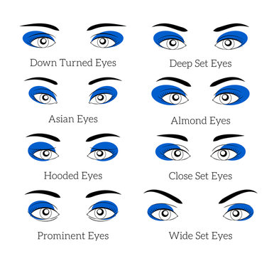 Easy makeup tips for the eyes. Beauty eyelash, eyebrow and mascara, fashion eyeshadow. Easy makeup vector illustration or easy makeup tips