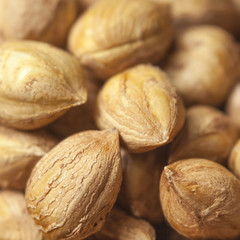 Hazelnut Background. Heap of peeled hazelnuts