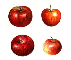apples, watercolor