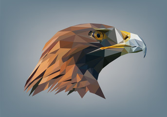 Plakaty  Falco Low Poly