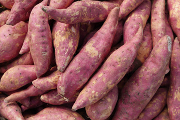 sweet potato background