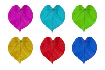Fototapeta na wymiar Colorful leaf as heart shape, Consist of Purple, Light Blue, Green, Yellow Red and Blue, Isolated on white background. symbol of love.
