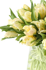 Bunch of white tulips