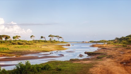 Wetlands in the Yala National Park, Sri Lanka