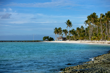 Caraibi LSSD5355