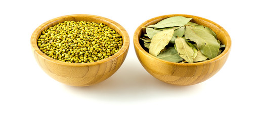 Savory coriander and bay laurel isolated