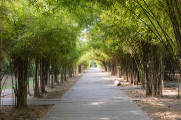 Closeup of the passage way with bamboo 2