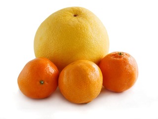 yellow sour grapefruit and sweet orange tangerine