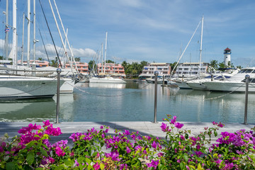 Many luxury yachts park at the harbor in Phuket boat lagoon, Phuket, Thailand