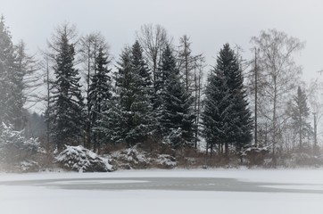Weißer Winterwald am zugefrohrenem See bei trübem Wetter