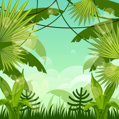 Naklejka premium krajobraz leśny. dżungla. niebo.