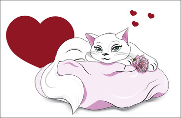 Valentines white cat