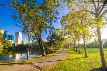 Pavement in park with green lawn sun light