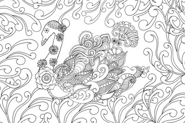 Swan coloring page