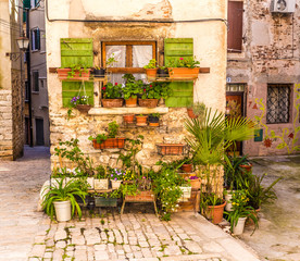 Fototapeta na wymiar Flowers In Front Of Old Building-Rovinj, Croatia